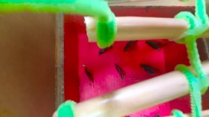 🐹🦂Лабиринт со скорпионами и ловушками для хомячков Police Pets🐹 в «Истории о хомяках»