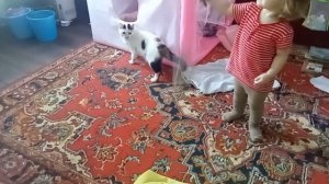 02-03-2026 Малышка, кошка и наш бардак.....