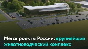 Мегапроекты России: крупнейший животноводческий комплекс