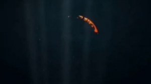 The Super Semifinal Still Not Final Best Animation Logos Turbo