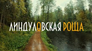 ЛИНДУЛОВСКАЯ РОЩА | Звуки природы | ЛЕНИНГРАДСКАЯ ОБЛАСТЬ