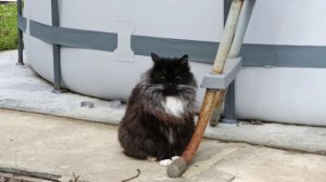 Пара солнечных деньков на Кубани.