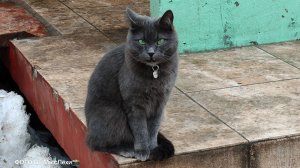 ЕЩЕ НЕ ТАК МОГУ ПРИ НЕОБХОДИМОСТИ УЧТИТЕ НЕЗДОРОВЫЕ ЛИЧНОСТИ