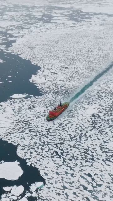 Ледокол «50 лет Победы» - один из самых крупных и мощных атомных ледоколов в мире