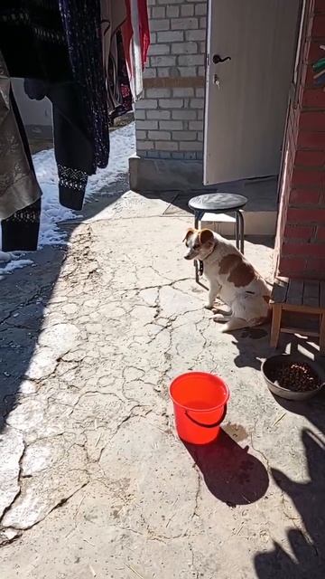 Весна красна. Братва бодра.