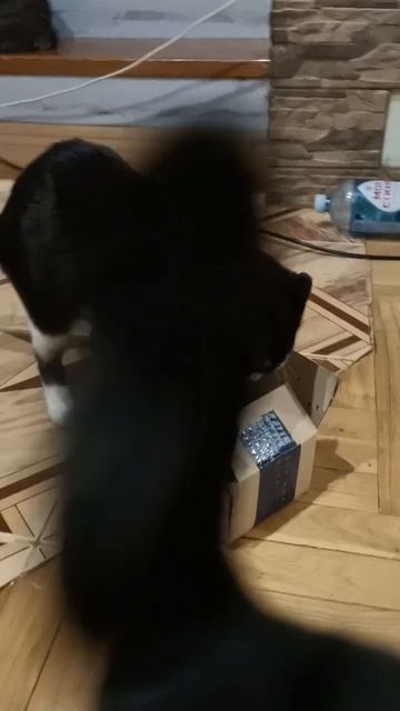 эх, не влезла😥