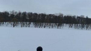 Снежная коасота в парке