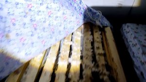 Слабонервным не смотреть! В зимовнике +12. Пчёлы вылетели из ульев?