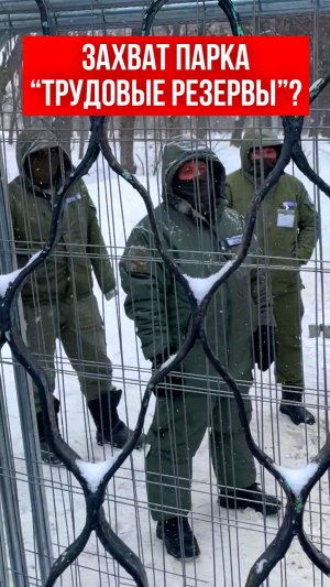 Захват парка «Трудовые резервы»?