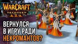 Вернулся в игру ради Некромантов?: Tbc bm (Ud) vs Maiev (Ne) Warcraft 3 Reforged