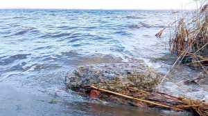 Природа , последний день зимы VID_2026.02.28