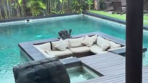 Беженец🇮🇩Бали. ГОНЯЕМ С СИНДИ НА ТАЧКЕ, ЕДИМ МОРОЖЕНОЕ, ПОКУПАЕМ КОЛЬЦА И БРАСЛЕТЫ! ВЕРНУЛ ШАПКУ