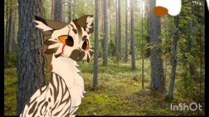 Очень смешной прикол с звëздным оком🤣🤣🤣🤣🤣