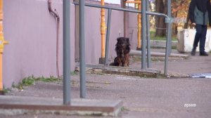 Изменения с 1 марта