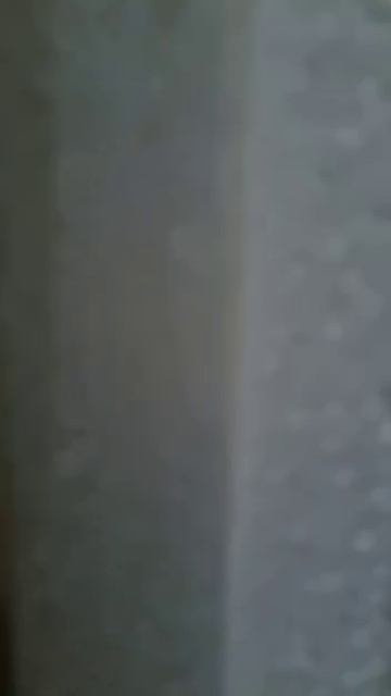 2кв-тепличная16/6