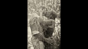 "Полночный дождь"