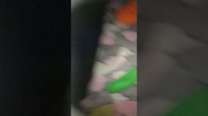 video_20260302_184950.mp4