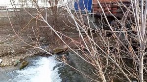 Кисловодские недоноски загадили р. Березовую! Хрюкать не забыли? 2.03.2026 г.