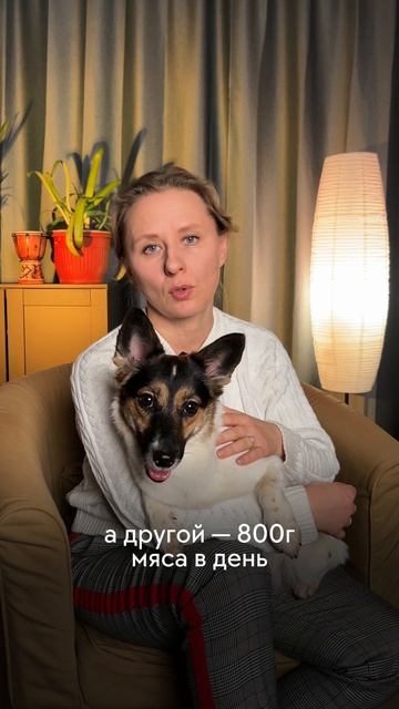 Как аккуратно расширять рацион