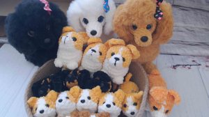 игрушки февраля