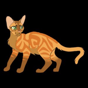 история о том как я.....