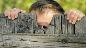 " Тайна за соседским забором ". История из жизни