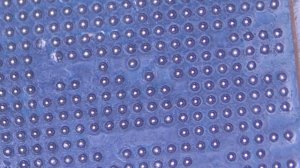 Реболл процессора