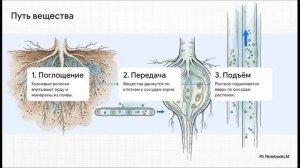 Биология 6 класс параграф 18 МИНЕРАЛЬНОЕ ПИТАНИЕ РАСТЕНИЙ УДОБРЕНИЯ краткий пересказ
