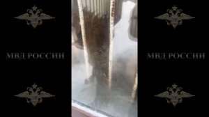 Московский уголовный розыск задержал подозреваемого в незаконном хранении огнестрельного оружия