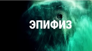 Биофизика Бога Как включить КРИСТАЛЛ в центре мозга (Инструкция)