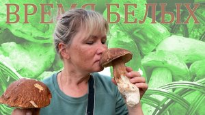 Время белых.