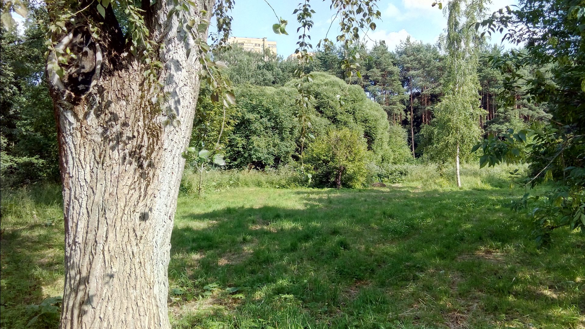 Фантастика