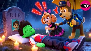 Щенячий патруль и Маршалл. Залипательное видео. Мультфильм для детей и малышей. Анимация 317