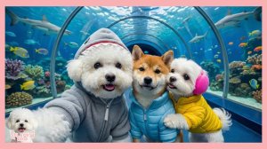 🐶Больше НямНямыча и Нямдольчика ❤️2 часть