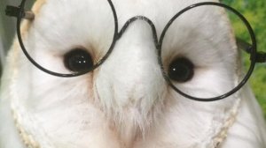 infosecprojectreport1