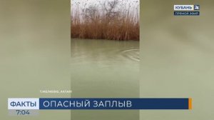 Рыбаки Приазовья заметили стаю дельфинов в одном из каналов