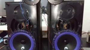 обзор на динамики  Piranha 165 V.2