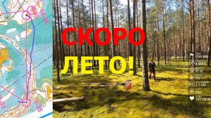 Спортивное ориентирование - Фестиваль Активного отдыха 2025, классика - 02.08.2025