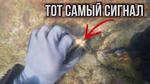 Мешок мусора… и один золотой сигнал