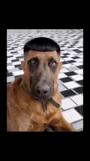 Это в лучшем случае🤣