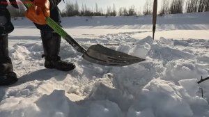 Жерлицы проверка. 20 день.