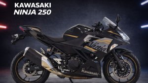 Kawasaki NINJA250 - EX250P-A22486