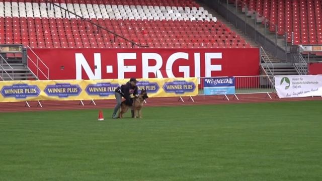 Aline vom Wolfsbruch ПРК