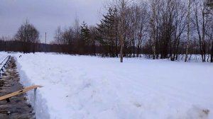 Практически готовы к выставке пчёл!