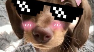 обзор комнаты