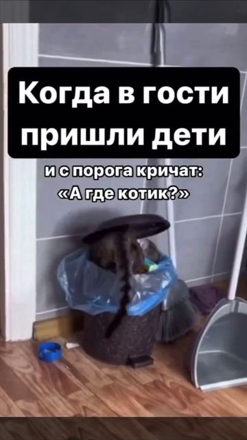 Понимаем шерстяного