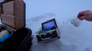 Как мы ловили щуку