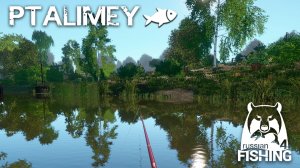 Поймаем ли что-нибудь стоящие на спиннинг?🐟Русская рыбалка 4🐬Russian Fishing 4