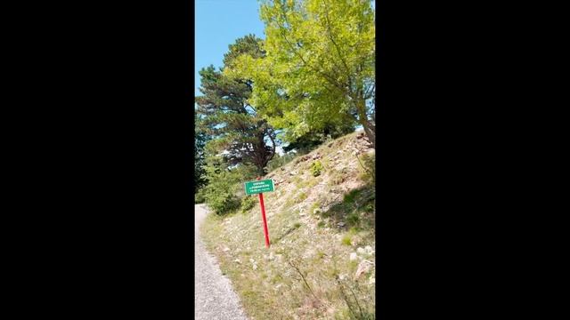 @024 смотреть онлайн