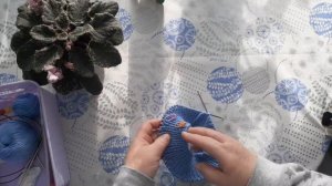 триостарты марта,1 старт-манишка)))